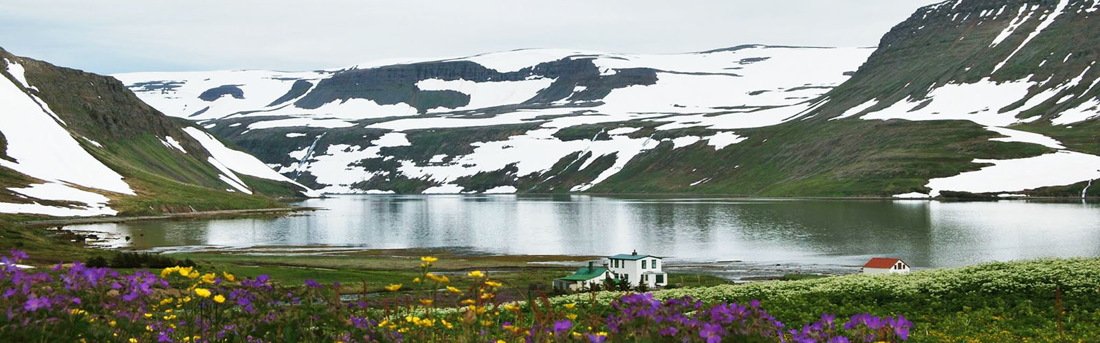 A field of purple and yellow flowers in front of a lake surrounded by snow-topped mountains. A small house is visible in the distance. 